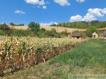 Pozemok s pôvodnou pivnicou na viničnom vŕšku v obci Modra - 2