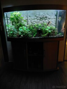 Akvárium JUWEL 260L (Co2/Chihiros/LED,Rostliny..) - 2