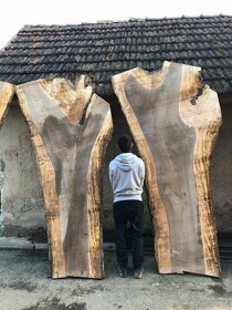 Orechove drevo, orechove fosne - 2