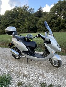 Kymco Grand Dink 250 - 2