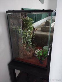 Terarium, super stav - 2