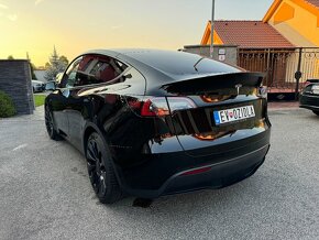 Tesla Y Performance - 2