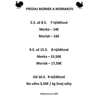 Morky a Moriaci na chov - 2