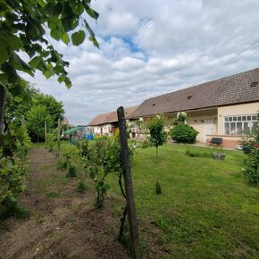 4 izbový, sedliacky rodinný dom, veľký pozemok v Tomášikove - 2