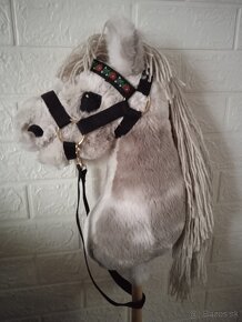 Hobby horse - 2