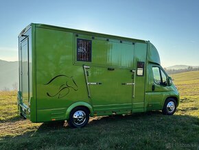 Fiat Ducato 2,2 l auto na prevoz koní - 2