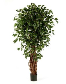 Umelý strom FICUS LIANA EXOTICA DELUXE 240cm - 2ks - 2