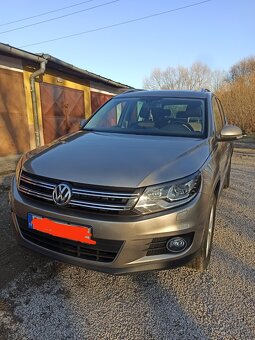 Tiguan - 2