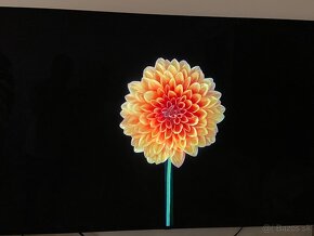 LG OLED 65´ - OLED65BX3LB - 2