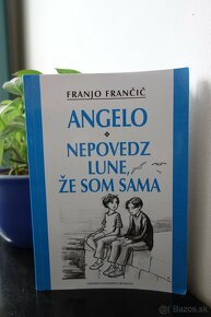 Fantastické prázdniny, Neviditeľná, Platforma, Angelo - 2