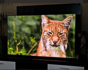 OLED Sony Bravia 8 55” - 2