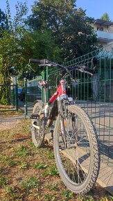 Bicykel CTM Benny 24' - 2