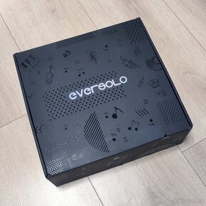 EVERSOLO DMP-A6 - 2