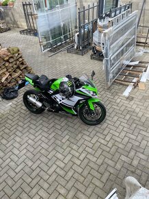 Kawasaki Ninja 300 30th anniversary edition - 2