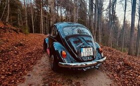 VW Chrobak 1300 1971 - 2