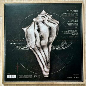 Robert Plant – Lullaby And... The Ceaseless Roar LP - 2