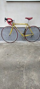 Olmo retro - 2