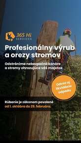 Stromy - arboristika - zahradnicke služby ???? - 2