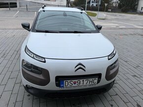 C4 Cactus - 2