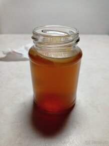 Scoby huba - 2