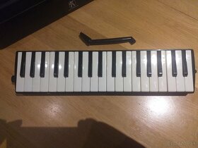 Hohner piano - 2