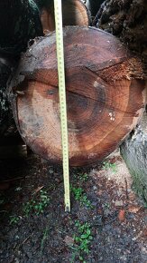 Čerešňove drevo - 2