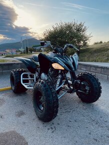 Yamaha Raptor 250 - 2