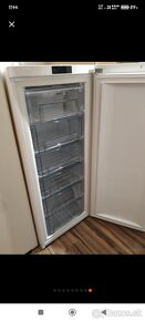 Gorenje skriňový mrazák - 2