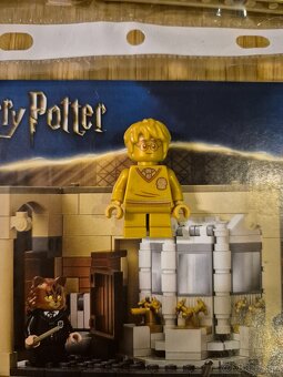 Lego Harry potter 76386 pollyjuice mistake - 2