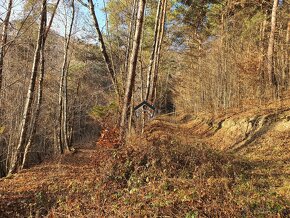 Na predaj les v obci Kokava nad Rimavicou - 2