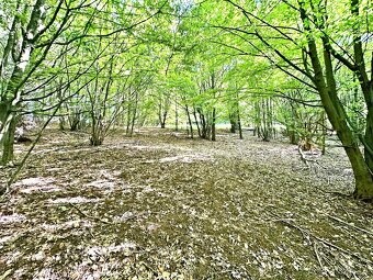 Veľkorysý pozemok na samote v obci Vyhne (Žiar nad Hronom - 2