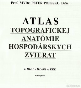 Atlas topografickej anatómie hospodárskych zvierat - Popesko - 2