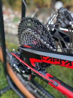 YT CAPRA comp AL - 2