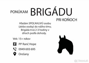 Brigáda pri koňoch - 2