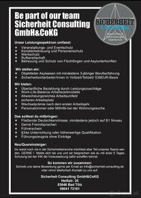 Sicherheit consulting Nemecko - 2