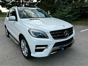 Mercedes ML W166 350 CDI 4Matic AMG - 2