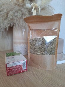 verbena officinalis + maliník - 2