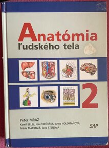 Anatomia Peter Mraz 2 - 2