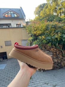 UGG TAZZ CHESTNUT - 2