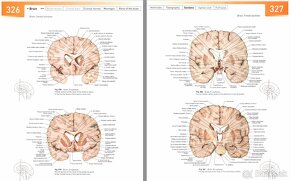 učebnice anatómie - medicína - 2
