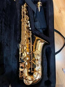 Saxofón Roy Benson alt - 2