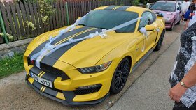 Ford Mustang GT Premium Performance V8 5.0 pronájem - 2