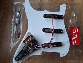 EMG RA-2 Pro Pickguard - 2