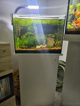 Akvarium - 2