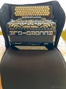 Accordiola - 2