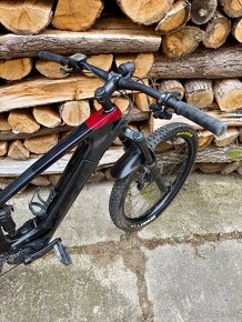 Trek Powerfly LT 9.7 Plus - 2