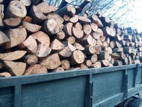 Palivové drevo buk  s dovozom - 2
