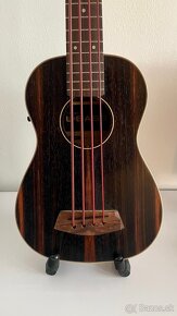 Kala U-Bass EBY-FS - 2