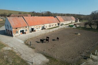 Predám žrebčín Kobyľany, okres Skalica - 2