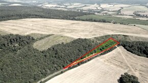 8.000 m2 LES pri Košiciach s prístupom od cesty – PREDAJ - 2